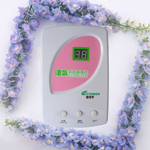 供应果蔬解毒机，斯特亨厂家全国诚招代理商